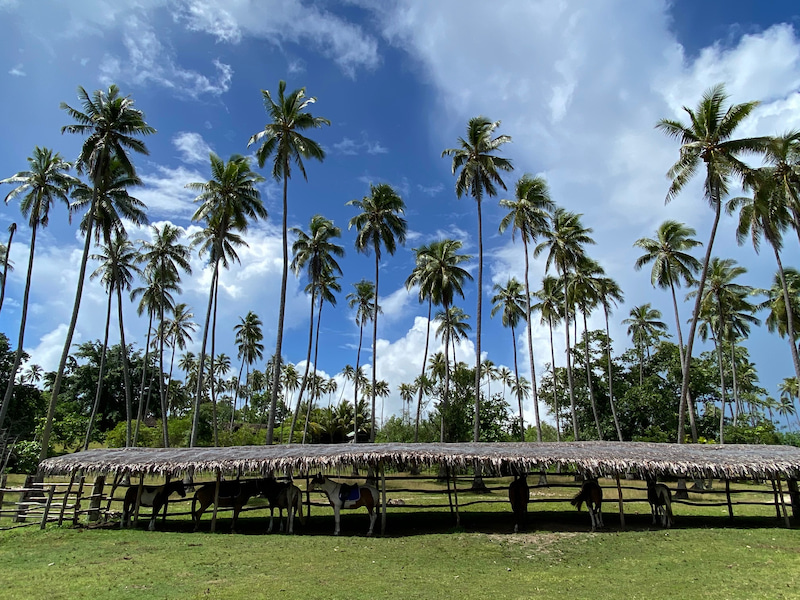 VanuatuHotel5