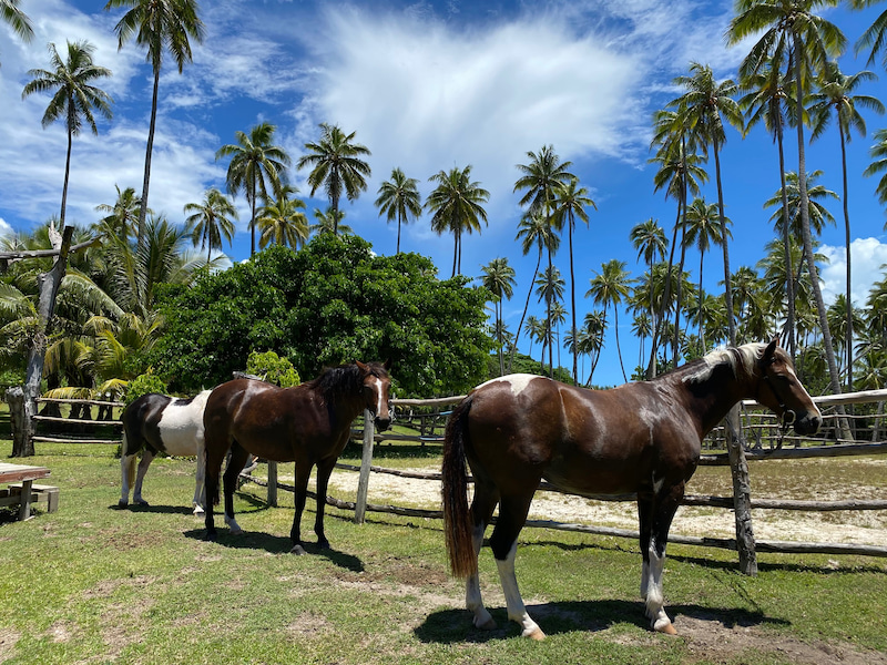 VanuatuHotel7