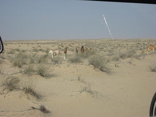 ２８歳で年収１億円＆著書３２万部の川島和正ブログ-dubai9-4