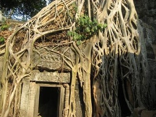 ２９歳で年収１億円＆著書３７万部になった、世界を旅するヒマリッチ社長川島和正の日記-タプロム,遺跡,カンボジア９