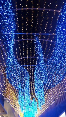 ブログとメールマガジンで年収１億円稼ぐ、世界を旅するヒマリッチ社長、川島和正の日記-100126_195545.jpg