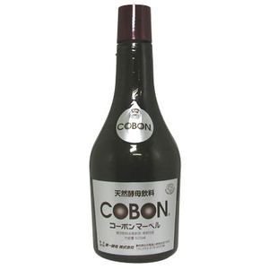 世界を旅する年収１億スーパーアフィリエイター　川島和正オフィシャルブログ　Powered by Ameba-コーボン