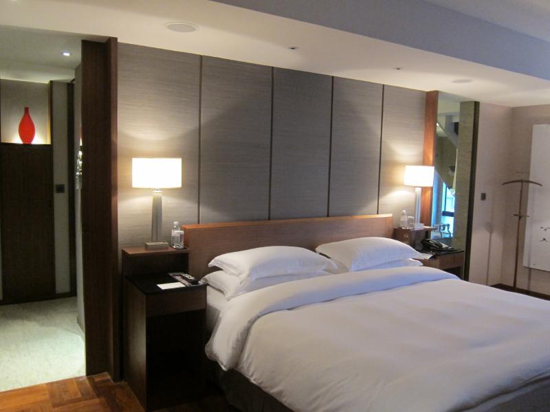 世界を旅する年収１億スーパーアフィリエイター　川島和正オフィシャルブログ　Powered by Ameba-上海2-1-6