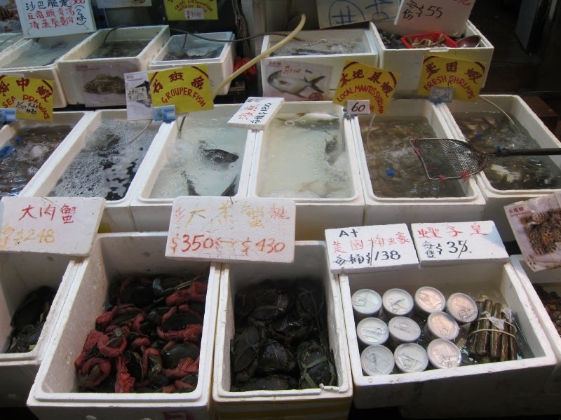世界を旅する年収１億スーパーアフィリエイター　川島和正オフィシャルブログ　Powered by Ameba-LocalSeafood2