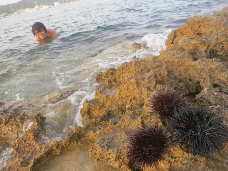 世界を旅する年収1億スーパーアフィリエイター 川島和正オフィシャルブログ Powered by Ameba-Ibiza8-1