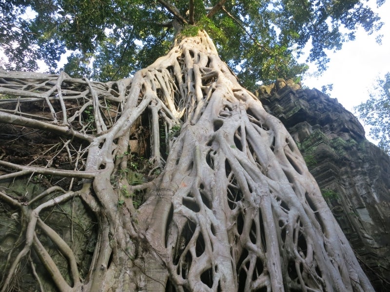 世界を旅する年収1億円ブロガー 川島和正オフィシャルブログ Powered by Ameba-SiemReap3-6