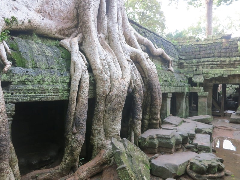 世界を旅する年収1億円ブロガー 川島和正オフィシャルブログ Powered by Ameba-SiemReap3-4