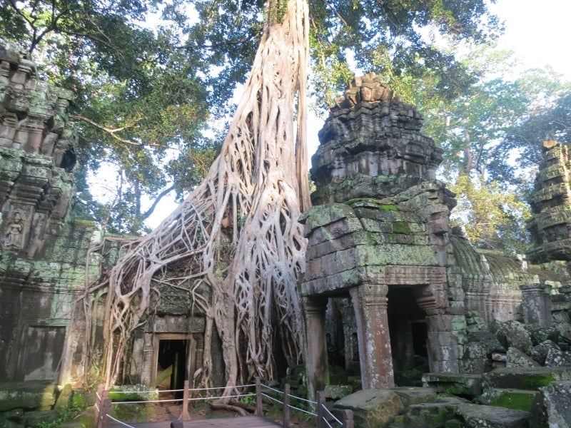 世界を旅する年収1億円ブロガー 川島和正オフィシャルブログ Powered by Ameba-SiemReap3-5