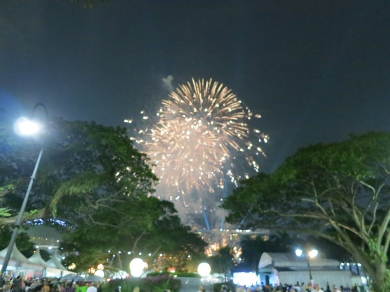 世界を旅する年収1億円ブロガー 川島和正オフィシャルブログ Powered by Ameba-Singapore6-5