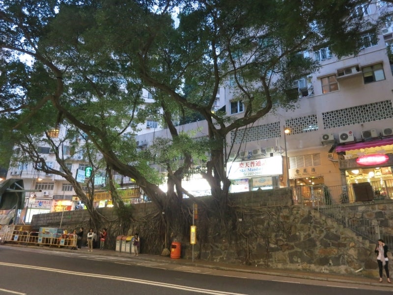 世界を旅する年収1億円ブロガー 川島和正オフィシャルブログ Powered by Ameba-HKU7
