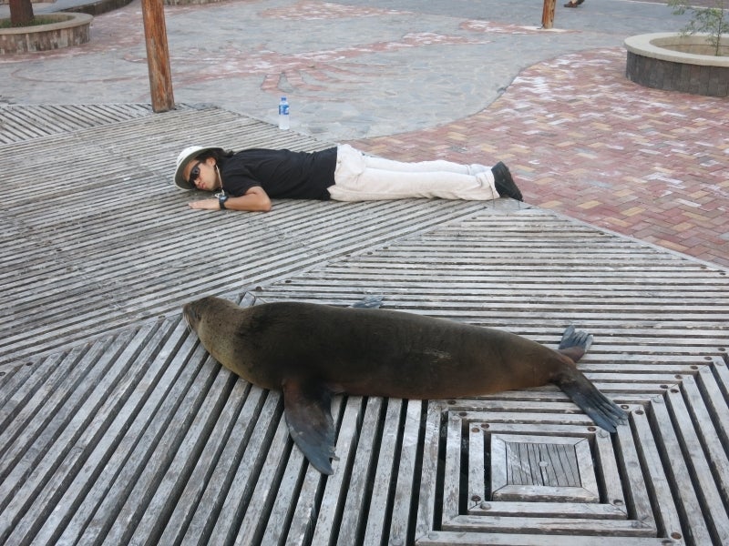 世界を旅する年収１億円ブロガー　川島和正オフィシャルブログ　Powered by Ameba-Galapagos1-11