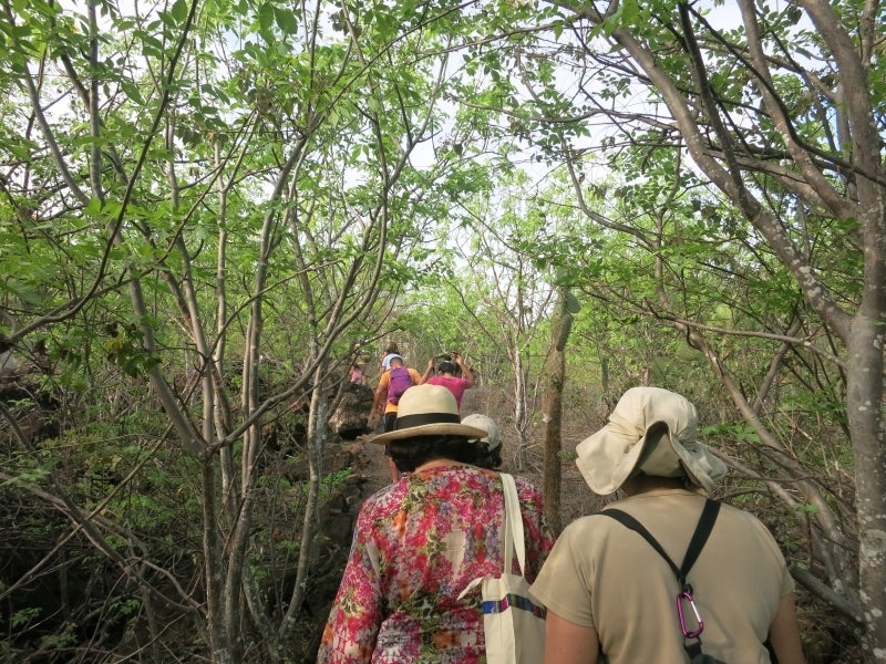 世界を旅する年収１億円ブロガー　川島和正オフィシャルブログ　Powered by Ameba-Galapagos1-8