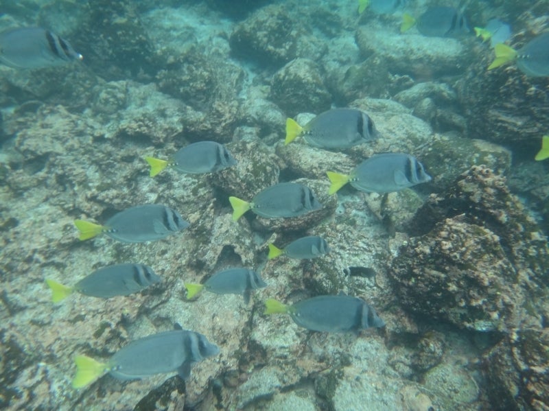 世界を旅する年収１億円ブロガー　川島和正オフィシャルブログ　Powered by Ameba-Galapagos2-12