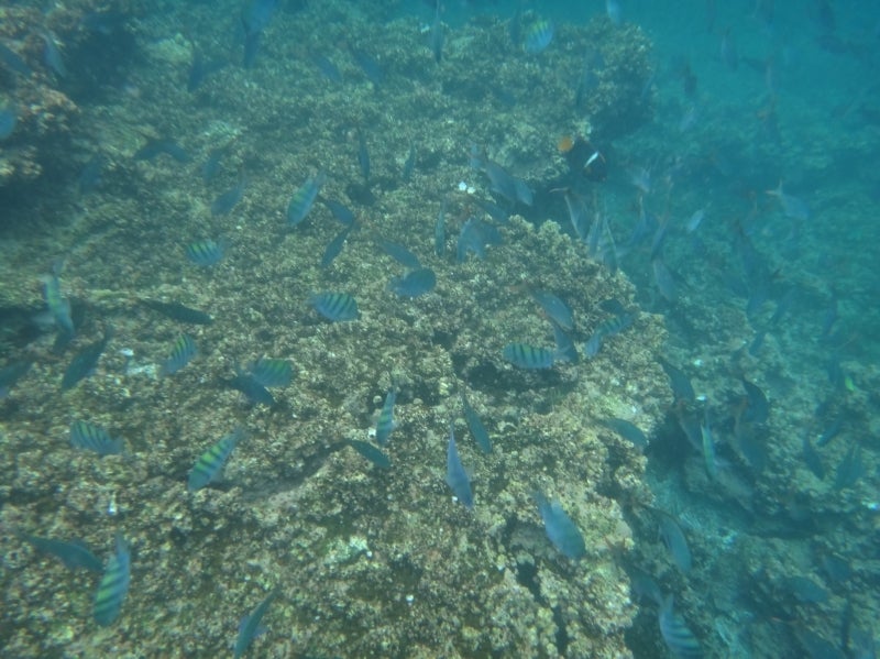 世界を旅する年収１億円ブロガー　川島和正オフィシャルブログ　Powered by Ameba-Galapagos2-8