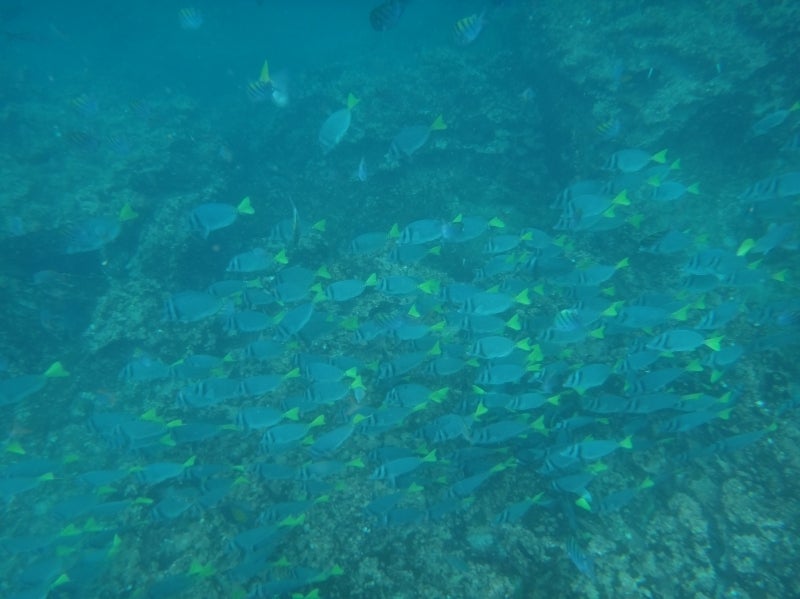 世界を旅する年収１億円ブロガー　川島和正オフィシャルブログ　Powered by Ameba-Galapagos2-10