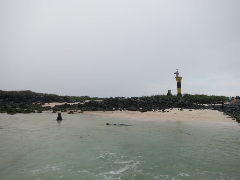 世界を旅する年収１億円ブロガー　川島和正オフィシャルブログ　Powered by Ameba-Galapagos3-1