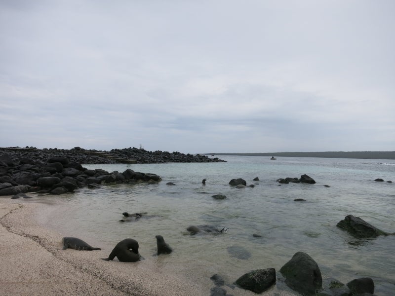 世界を旅する年収１億円ブロガー　川島和正オフィシャルブログ　Powered by Ameba-Galapagos3-8