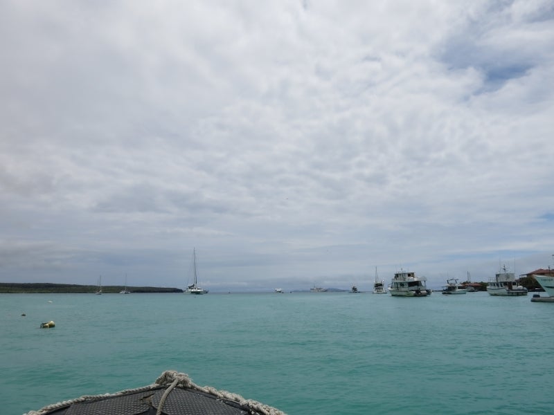 世界を旅する年収1億円ブロガー 川島和正オフィシャルブログ Powered by Ameba-Galapagos5-13