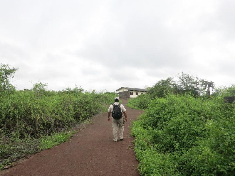 世界を旅する年収1億円ブロガー 川島和正オフィシャルブログ Powered by Ameba-Galapagos5-4