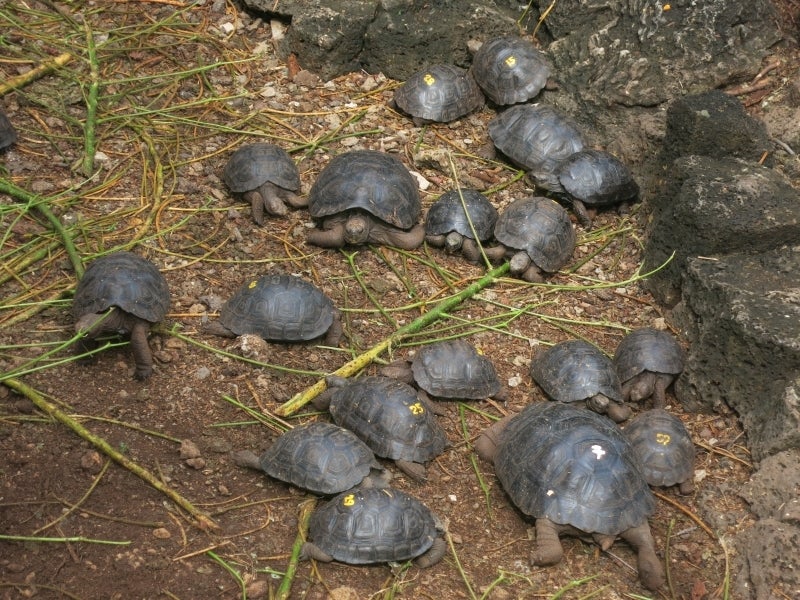 世界を旅する年収1億円ブロガー 川島和正オフィシャルブログ Powered by Ameba-Galapagos5-5