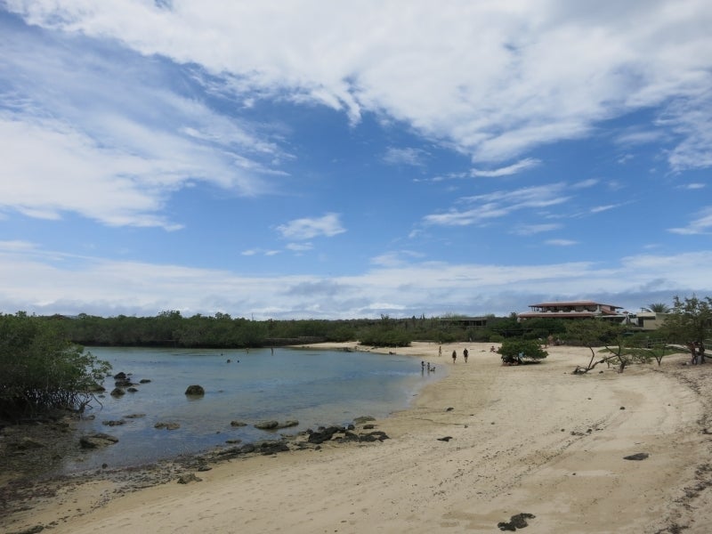 世界を旅する年収1億円ブロガー 川島和正オフィシャルブログ Powered by Ameba-Galapagos5-14