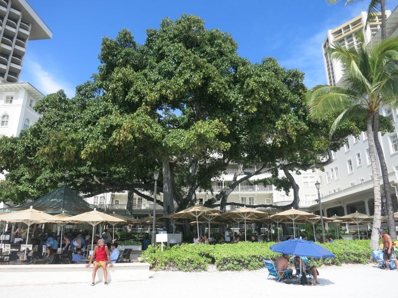 世界を旅する年収1億円ブロガー 川島和正オフィシャルブログ Powered by Ameba-Hawaii9-8