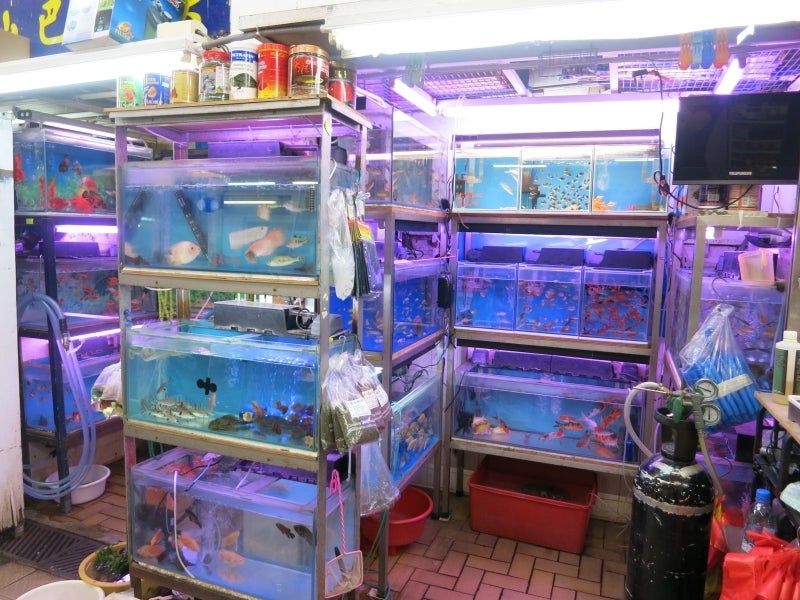 世界を旅する年収１億円ブロガー　川島和正オフィシャルブログ　Powered by Ameba-Aberdeen6