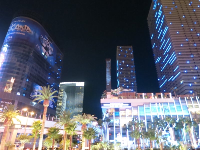 世界を旅する年収１億円ブロガー　川島和正オフィシャルブログ　Powered by Ameba-LasVegas22
