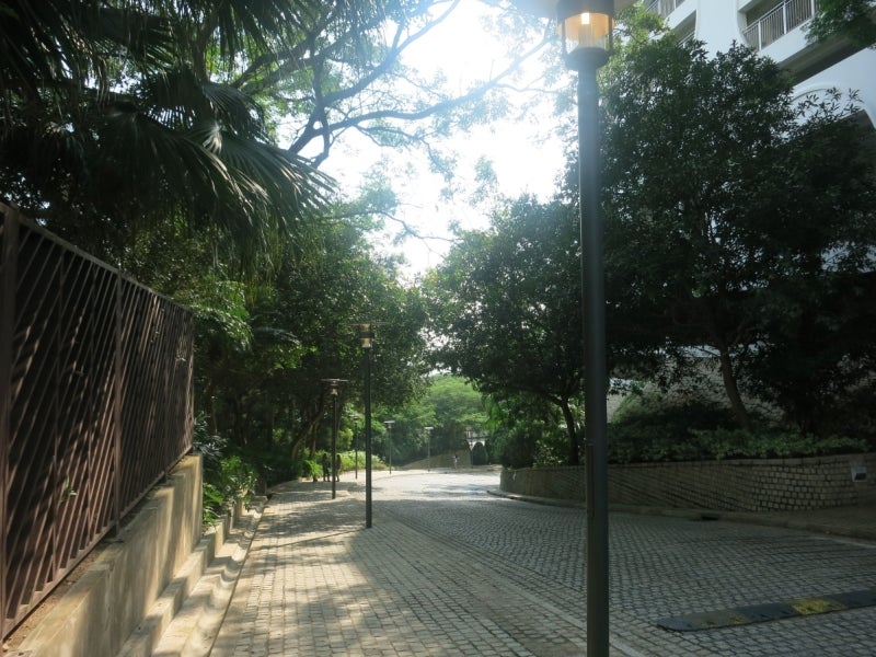 世界を旅する年収１億円ブロガー　川島和正オフィシャルブログ　Powered by Ameba-Walking3