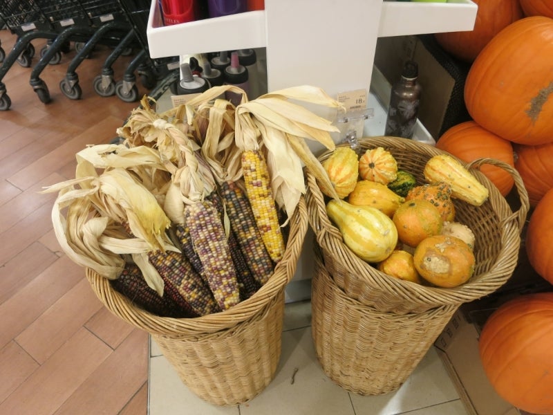 世界を旅する年収１億円ブロガー　川島和正オフィシャルブログ　Powered by Ameba-Pumpkin5