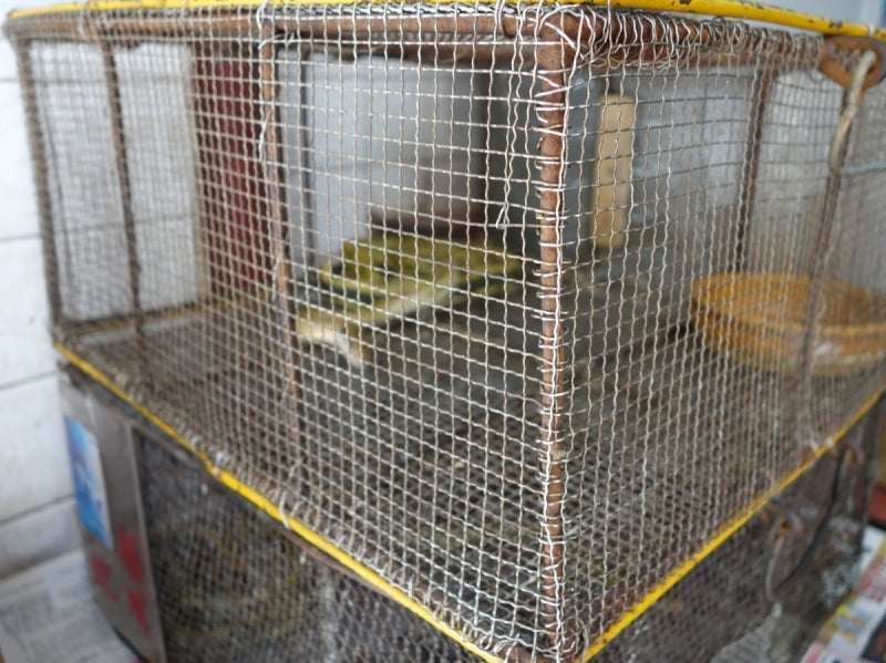 世界を旅する年収１億円ブロガー　川島和正オフィシャルブログ　Powered by Ameba-Snake2