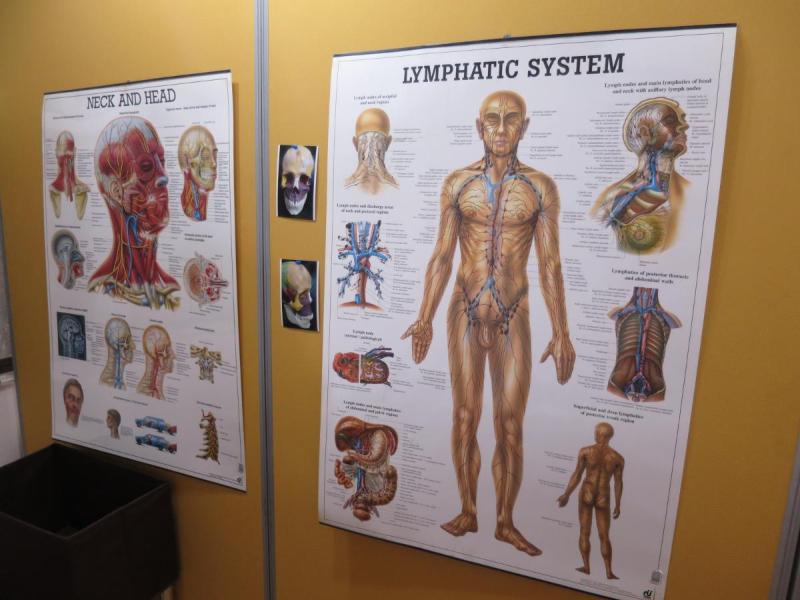 BodyReset3