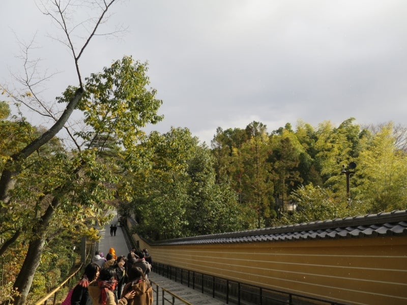 Kyoto3-10