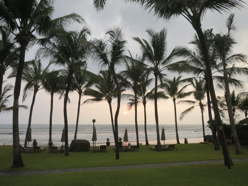 Bali,一夫多妻,藤田4