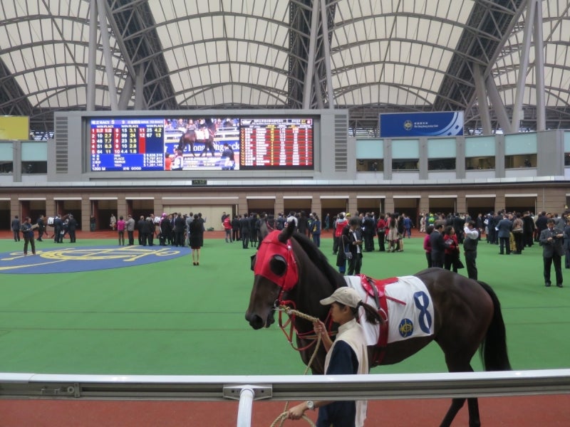 Shatin7