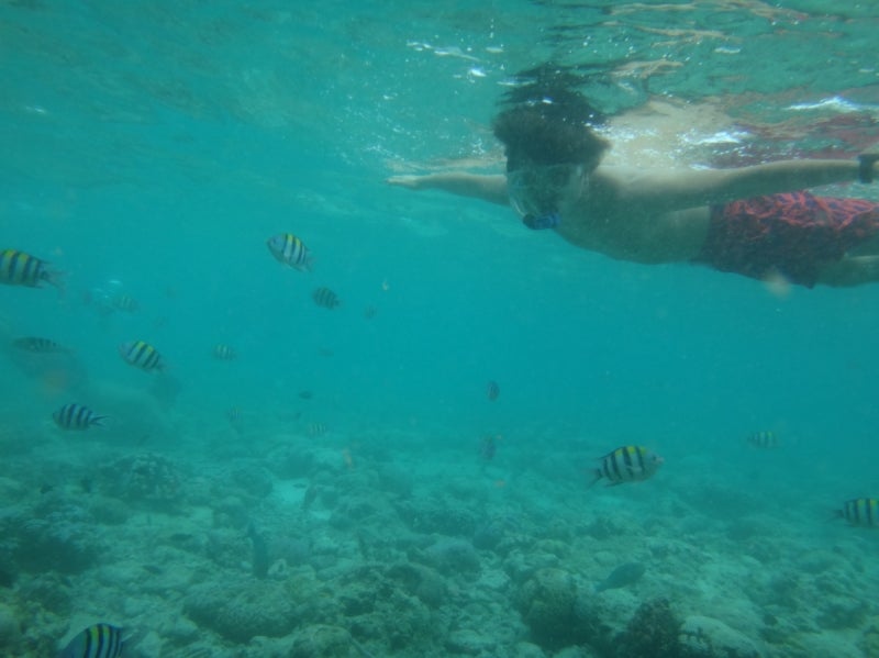 Cebu6-17