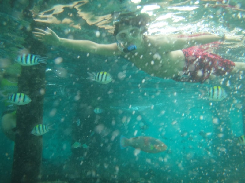 Cebu6-16