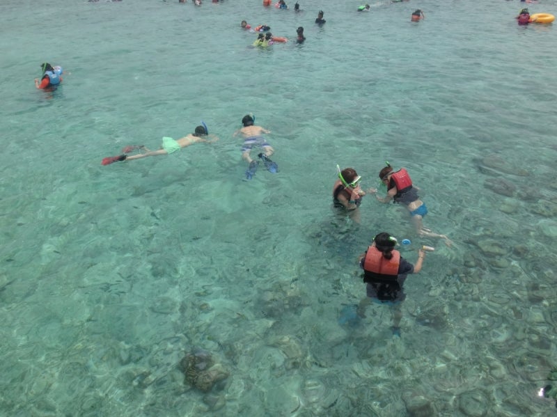 Cebu6-11