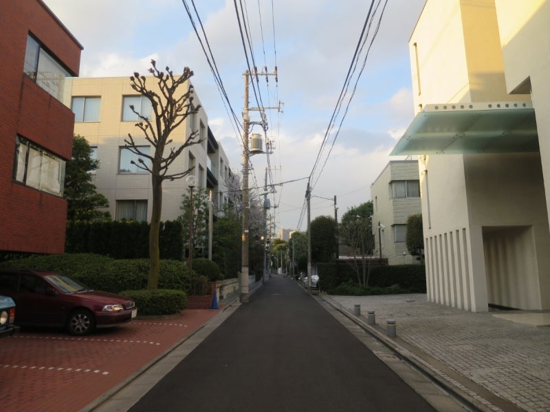 目黒川の桜5