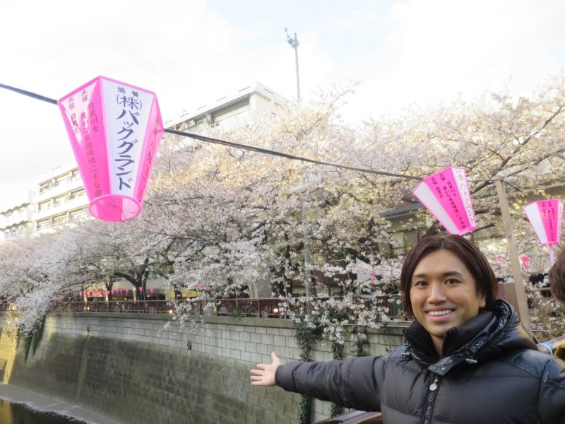 目黒川の桜3