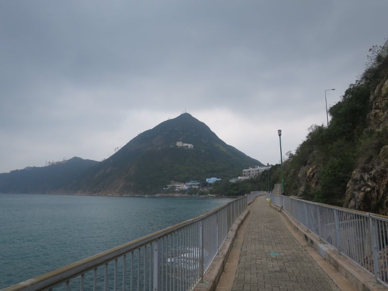 散歩5