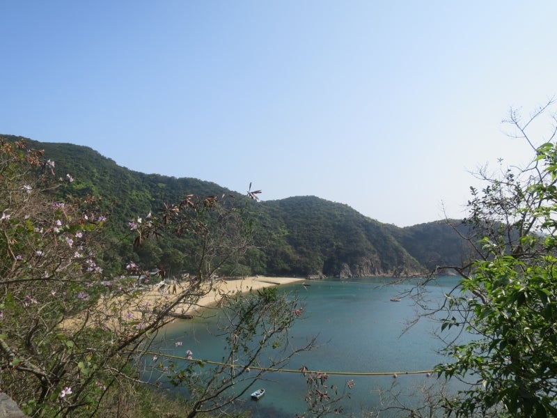 昼寝7