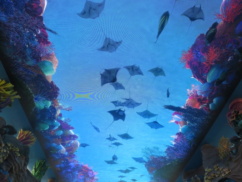 珠海長隆海洋王国3