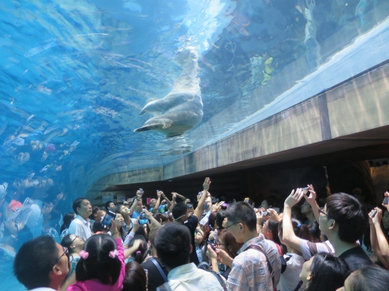 珠海長隆海洋王国7