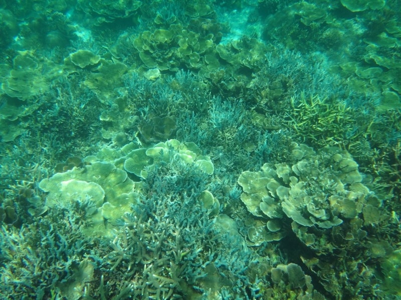 El Nido4-3