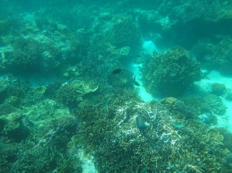 El Nido4-4