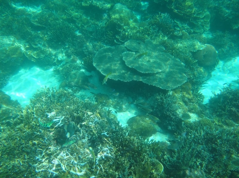 El Nido4-11