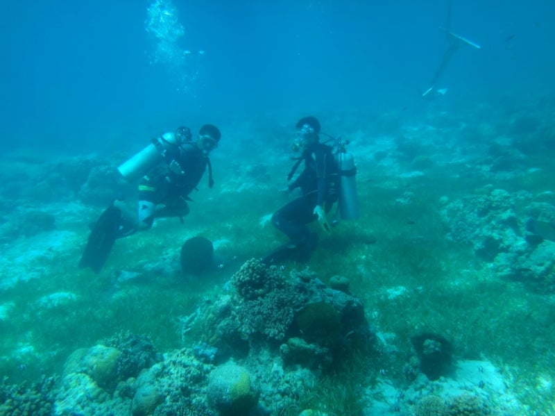 CebuDiving2