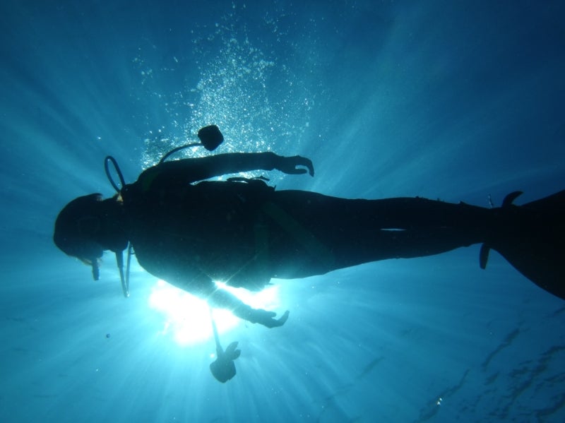 CebuDiving9