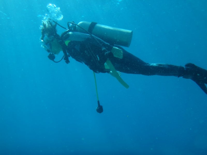 CebuDiving8